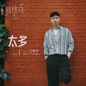 Too Many (Remake of Youth 3: OST) (Single) - Wang Ming Yu