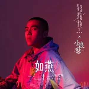 Like the Swallow (Remake of Youth 3: OST) (Single) - Don Zhu