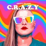C.R.A.Z.Y (Single) - Groove Delight