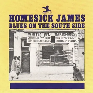 Blues On The South Side - Homesick James