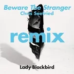 Beware The Stranger (Chris Seefried Remix) (Single) - Lady Blackbird, Trombone Shorty