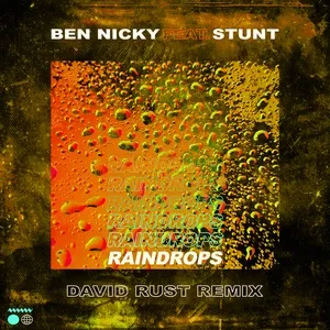 Raindrops (David Rust Remix) (Single) - Ben Nicky, Stunt