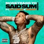 Nghe ca nhạc Said Sum (Remix) (Single) - Moneybagg Yo, City Girls, DaBaby