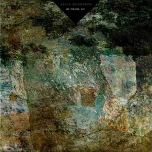 By Fields (II) (Single) - David Wenngren