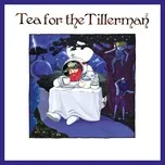 Tải nhạc Tea For The Tillerman2 Mp3 - NgheNhac123.Com