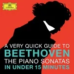Tải nhạc hot Beethoven: The Piano Sonatas in under 15 minutes Mp3 miễn phí về điện thoại