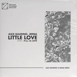 Little Love (Pres. Lil' Love) (Alex Gaudino & Hiisak Remix) (Single) - Alex Gaudino, Jerma