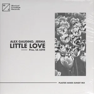 Little Love (Pres. Lil' Love) (Plaster Hands Sunset Mix) (Single) - Alex Gaudino, Jerma