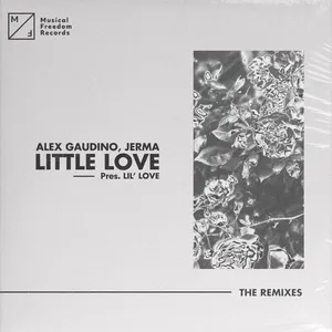 Little Love (Pres. Lil' Love) (The Remixes) (EP) - Alex Gaudino, Jerma