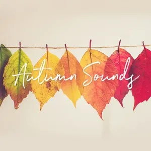 Autumn Sounds - V.A