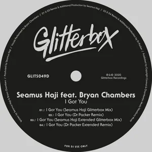 I Got You (feat. Bryan Chambers) - Seamus Haji