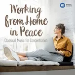 Working from Home in Peace: Classical Tunes for Concentration - V.A