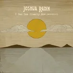 Ca nhạc I Can See Clearly Now (Acoustic) - Joshua Radin