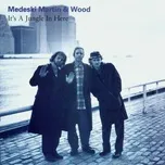 It's A Jungle In Here - Medeski, Martin & Wood