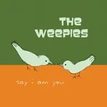 Say I Am You - The Weepies