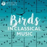 Tải nhạc Birds in Classical Music online