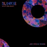 Nghe nhạc What You Want (Joe Stone Remix) - Blinkie