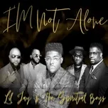 Nghe nhạc I'm Not Alone (Single) trực tuyến