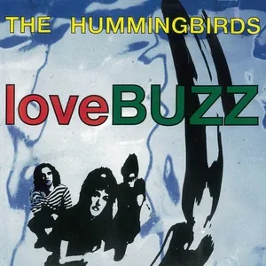 loveBUZZ - The Hummingbirds