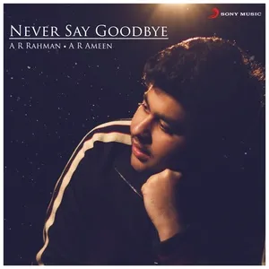 Never Say Goodbye (From 
