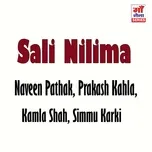 Nghe nhạc Sali Nilima - V.A