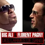 Nghe nhạc Des larmes de sang (feat. Florent Pagny) - Big Ali