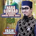 Nghe nhạc Hara Gumbad Jo Dekhoge Zamana Bhool Jaoge (Single) - Yasir Soharwardi