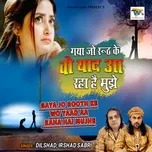 Nghe nhạc Gaya Jo Rooth Ke Wo Yaad Aa Raha Hai Mujhe (Single) - Irshad Sabri, Dilshad Sabri