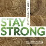 The Stay Strong Project - David Newman, Krishna Das