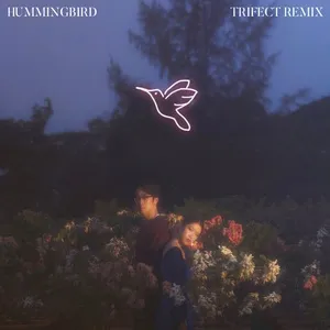 Hummingbird (Trifect Remix) - Charlie Lim, Linying, Trifect