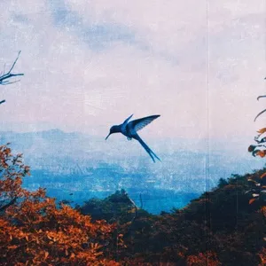 Hummingbird (Single) - J;KEY, greenbeige