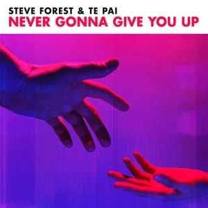 Never Gonna Give You Up - Steve Forest, Te Pai