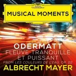 Tải nhạc Zing Odermatt: Les couleurs de l'eau, Op. 22: I. Fleuve tranquille et puissant (Musical Moments) nhanh nhất về điện thoại