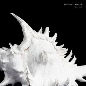 Elegie (Single) - Wilson Trouve