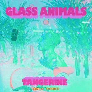 Tangerine - Glass Animals, Arlo Parks