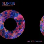 What You Want (Low Steppa Remix) - Blinkie