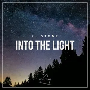 Into The Light - CJ Stone
