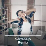 Ca nhạc Sertanejo Remix - V.A
