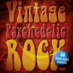 Vintage Psychedelic Rock: 20 Acid Rock Classics - V.A