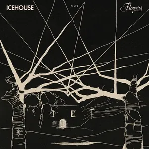 ICEHOUSE Plays Flowers Live - Icehouse