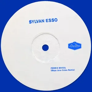 Ferris Wheel (Maya Jane Coles Remix) - Sylvan Esso