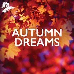 Nghe nhạc Autumn Dreams - V.A