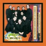 Nghe nhạc El Sonido Joven De La Cumbia - Arturo Jaimes Y Los Cantantes