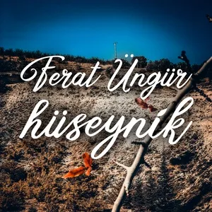 Download nhạc Hüseynik online