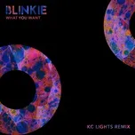 What You Want (KC Lights Remix) - Blinkie