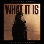 What It Is (Country Version) - Jonathan Davis