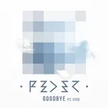 Goodbye (feat. Lyse) [Radio Edit] - Feder