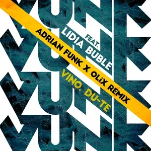 Vino, du-te (Adrian Funk & OLiX Remix) - Vunk, Lidia Buble