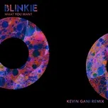 What You Want (Kevin Gani Remix) - Blinkie
