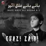 Ca nhạc Haye Haye Ali Akbar A.S (Single) - Ghazi Zaidi
